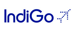 indigo